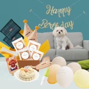 MyBESTiee ハッピーバースデーBOX（11種類セット）