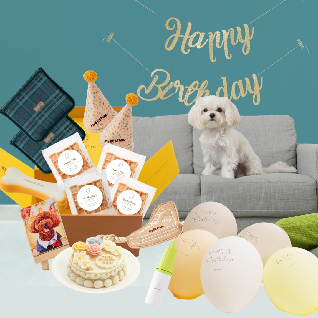 MyBESTiee ハッピーバースデーBOX(11種類セット)