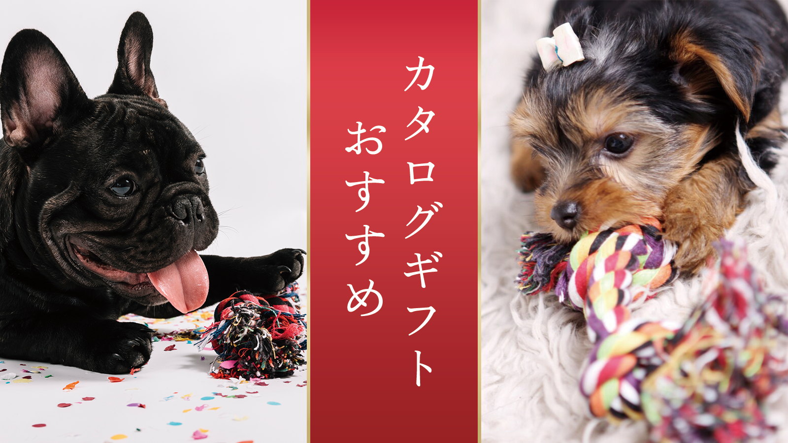【比較表あり】ペット専用カタログギフトのおすすめ6つを忖度なしで本気で比較!